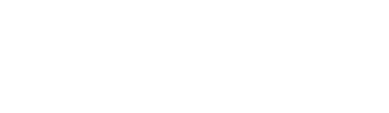 elarion logo high res 02