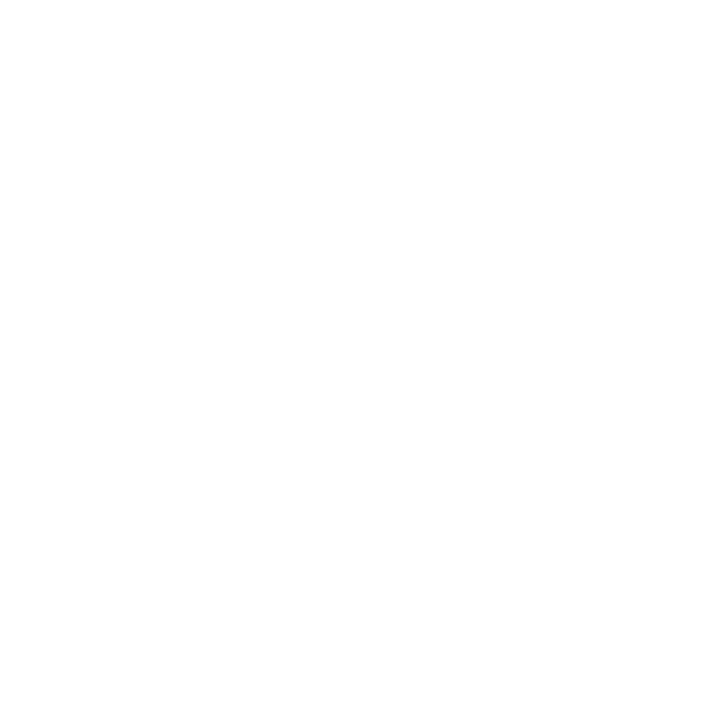 elarion logo high res 03